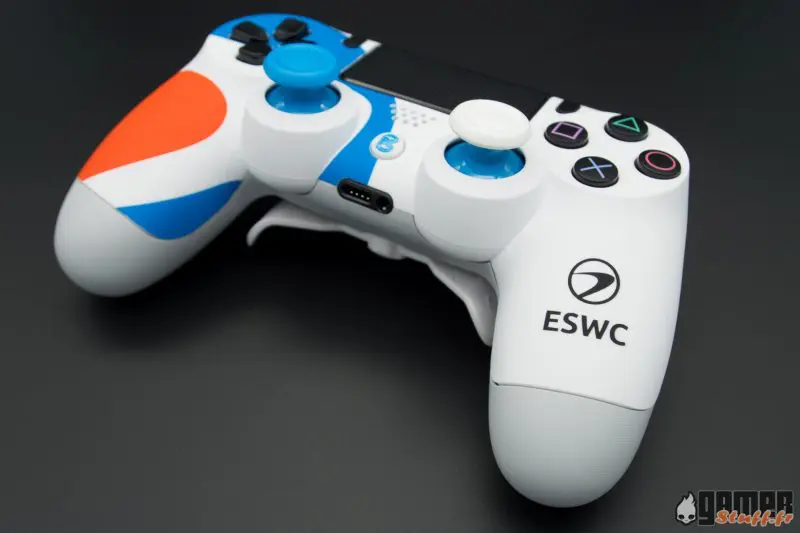 Manette Burn-Controllers ESWC